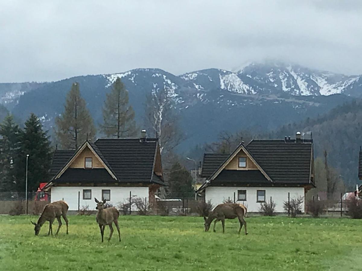 Camping Zakopane Willa Skoczek Oferta Nie Dotyczy Noclegu W Pokoju ,W Namiocie Reczniki Woda Mineralna , Koldra Poduszki Lub Spiwory Экстерьер фото