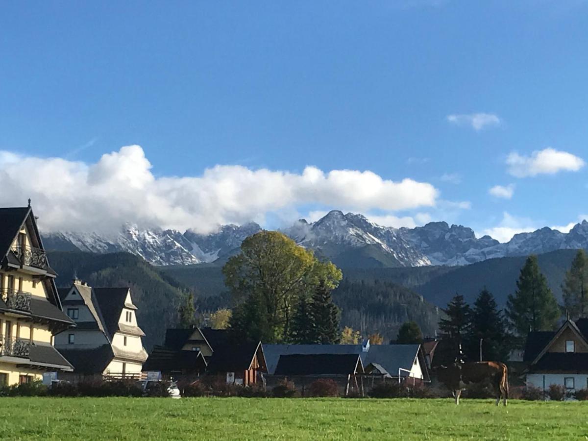 Camping Zakopane Willa Skoczek Oferta Nie Dotyczy Noclegu W Pokoju ,W Namiocie Reczniki Woda Mineralna , Koldra Poduszki Lub Spiwory Экстерьер фото