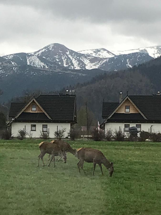 Camping Zakopane Willa Skoczek Oferta Nie Dotyczy Noclegu W Pokoju ,W Namiocie Reczniki Woda Mineralna , Koldra Poduszki Lub Spiwory Экстерьер фото