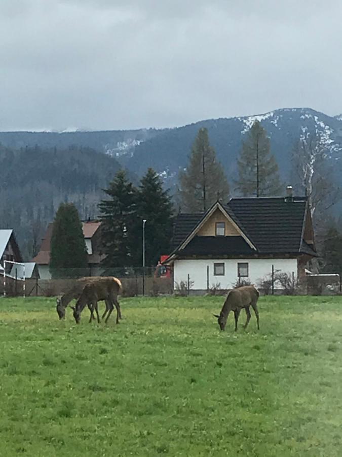 Camping Zakopane Willa Skoczek Oferta Nie Dotyczy Noclegu W Pokoju ,W Namiocie Reczniki Woda Mineralna , Koldra Poduszki Lub Spiwory Экстерьер фото