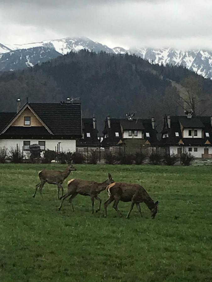 Camping Zakopane Willa Skoczek Oferta Nie Dotyczy Noclegu W Pokoju ,W Namiocie Reczniki Woda Mineralna , Koldra Poduszki Lub Spiwory Экстерьер фото