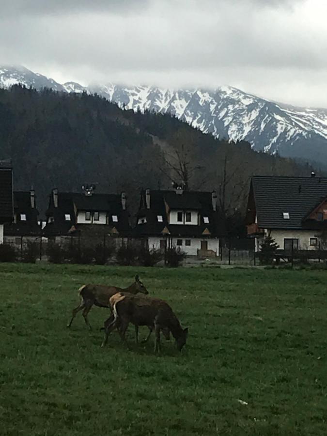 Camping Zakopane Willa Skoczek Oferta Nie Dotyczy Noclegu W Pokoju ,W Namiocie Reczniki Woda Mineralna , Koldra Poduszki Lub Spiwory Экстерьер фото